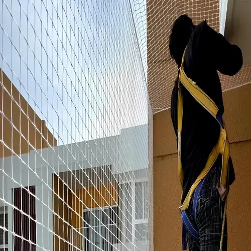 Pigeon Netting Services in Bangalore and Whitefield