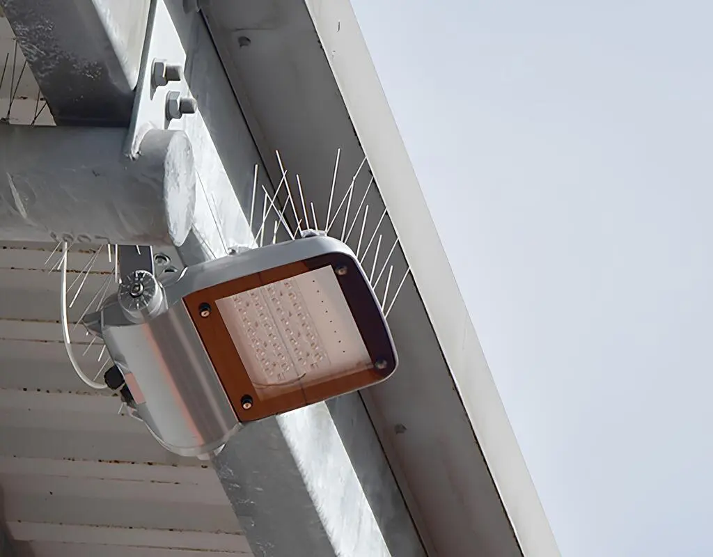 Quality Bird Spikes for Pigeons in Bangalore and Whitefield