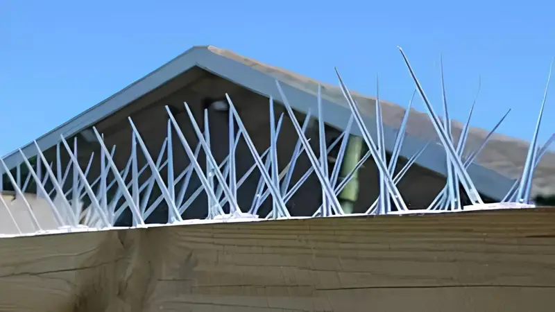 Bird Spikes Projects by MSR Safety Solutions