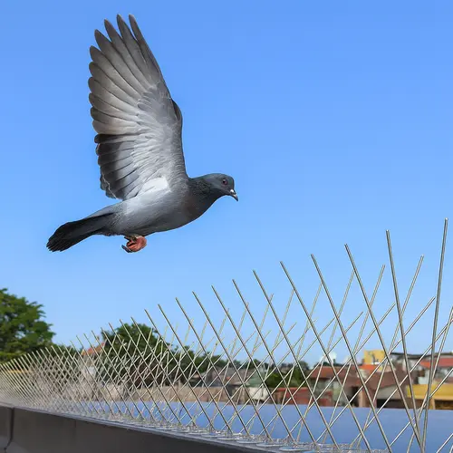 MSR Safety Solutions Bird Spikes Installation in Bangalore